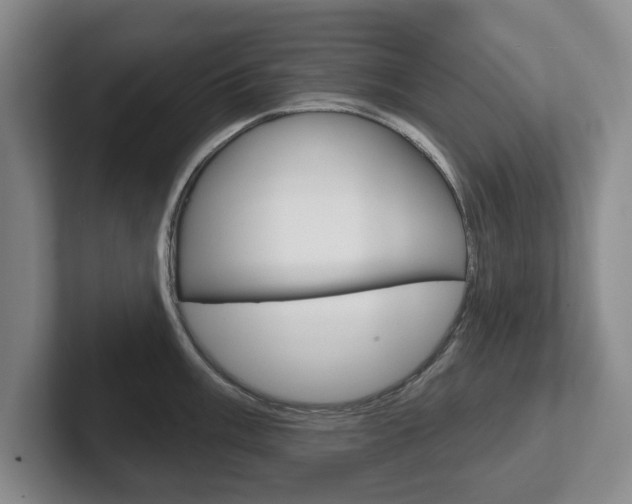 X0000102541003200808081046