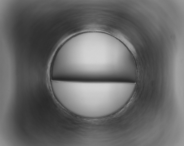 X0000102541004200808081046