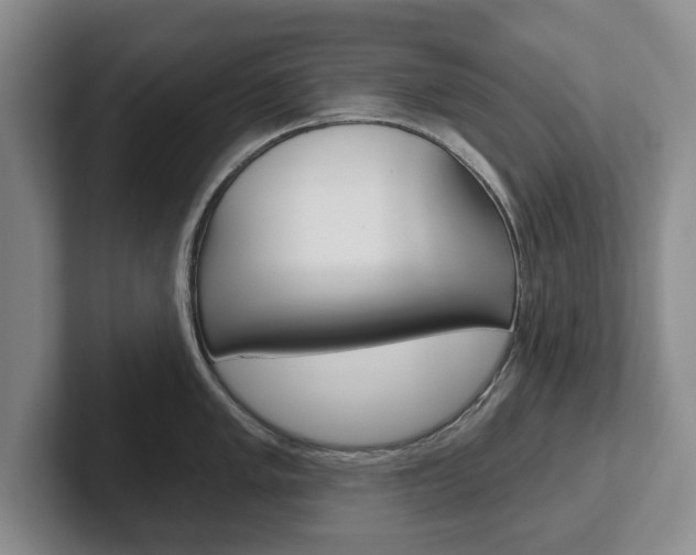 X0000102541005200808081046