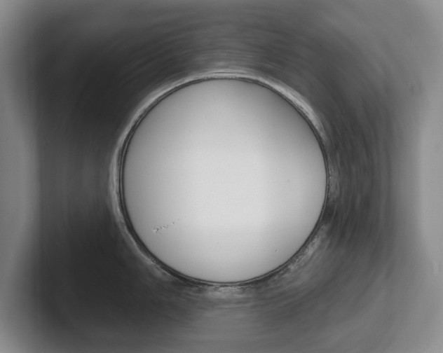 X0000102541006200808081046