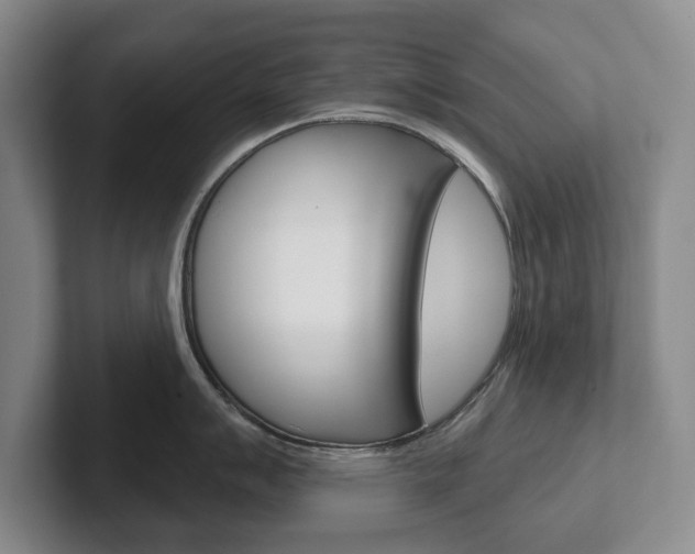 X0000102541007200808081046