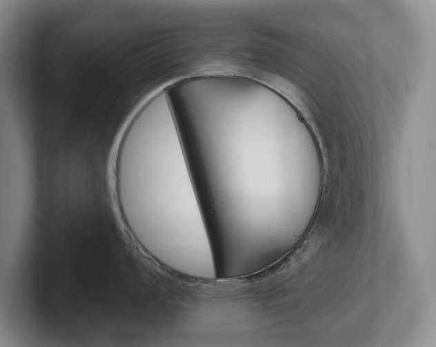 X0000102541008200808081046
