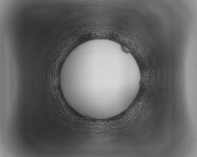 X0000102541009200808081045