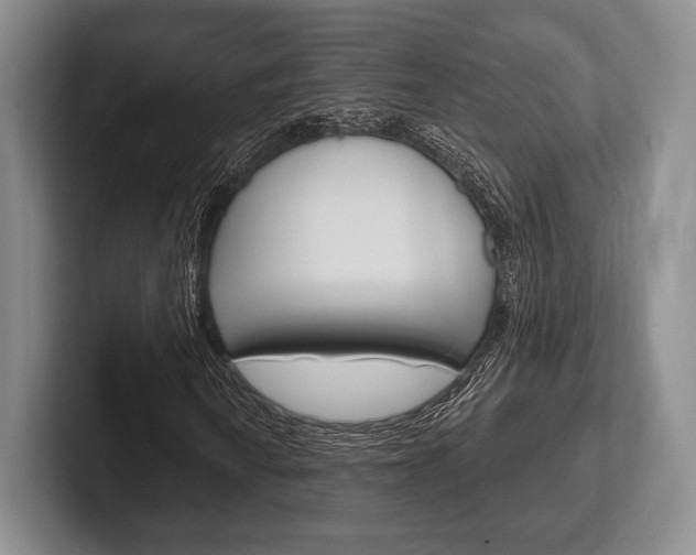 X0000102541010200808081045