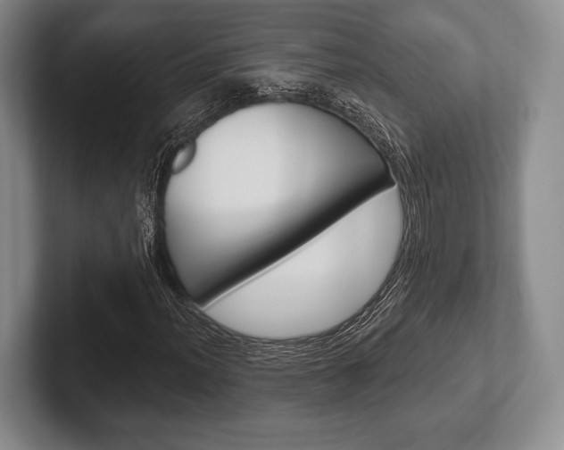 X0000102541012200808081045