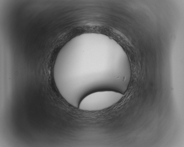 X0000102541013200808081045