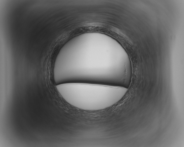 X0000102541014200808081045