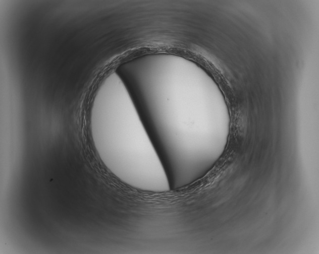 X0000102541016200808081045