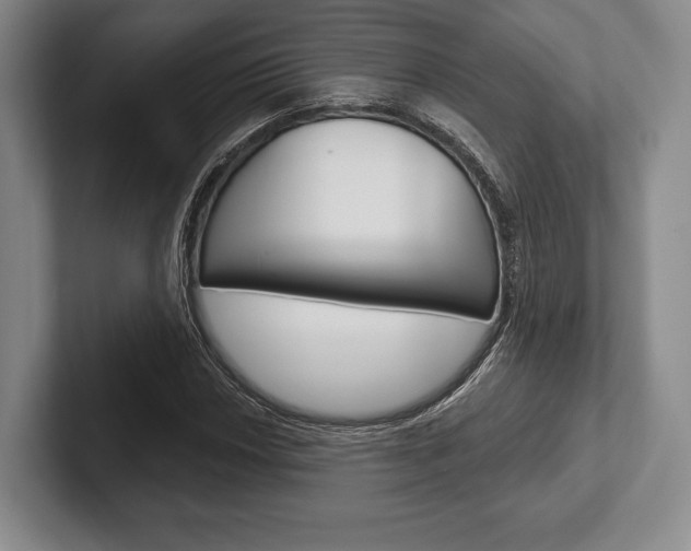 X0000102541018200808081045