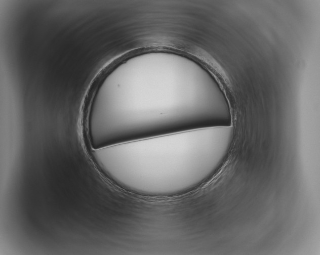 X0000102541020200808081045