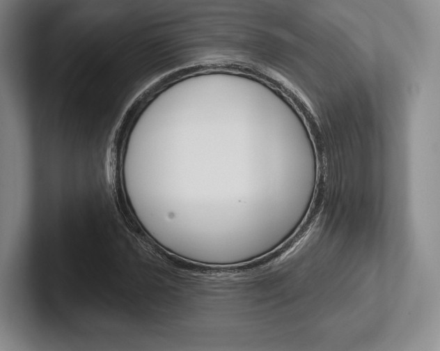 X0000102541021200808081045