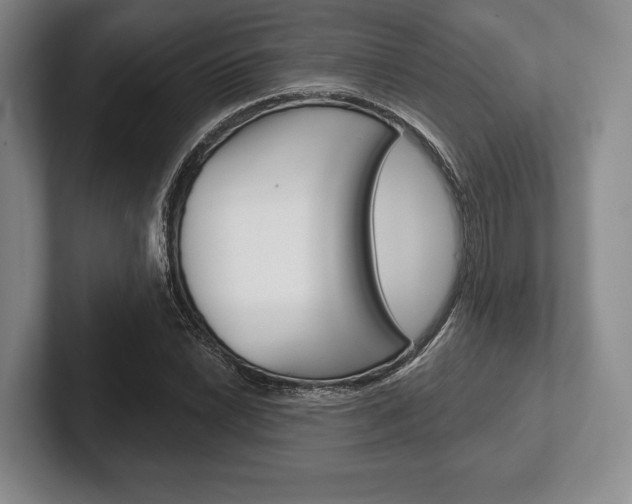 X0000102541022200808081046