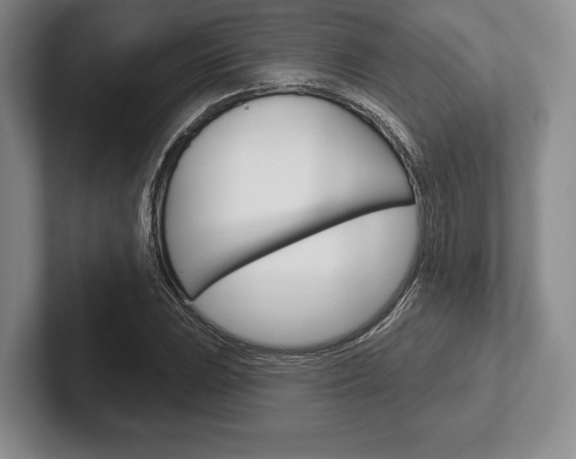 X0000102541023200808081046