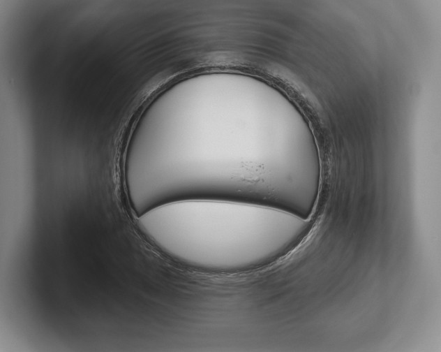 X0000102541025200808081046