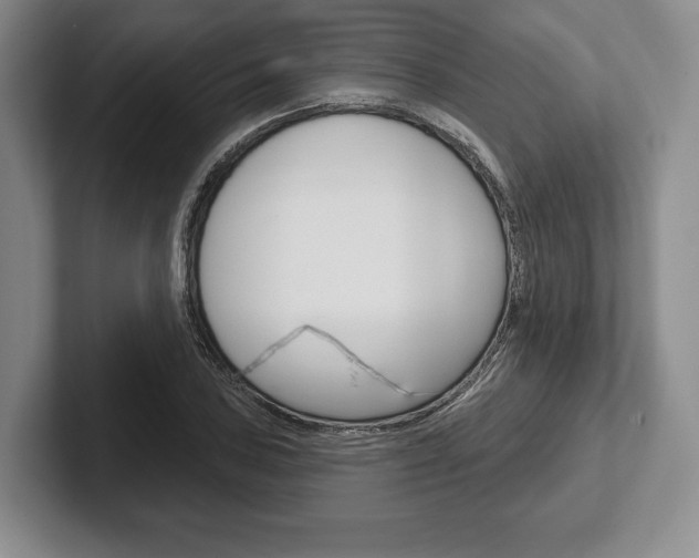 X0000102541027200808081046