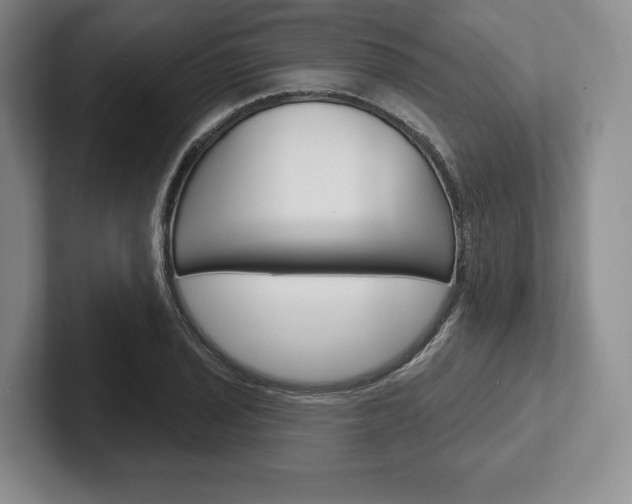 X0000102541029200808081046