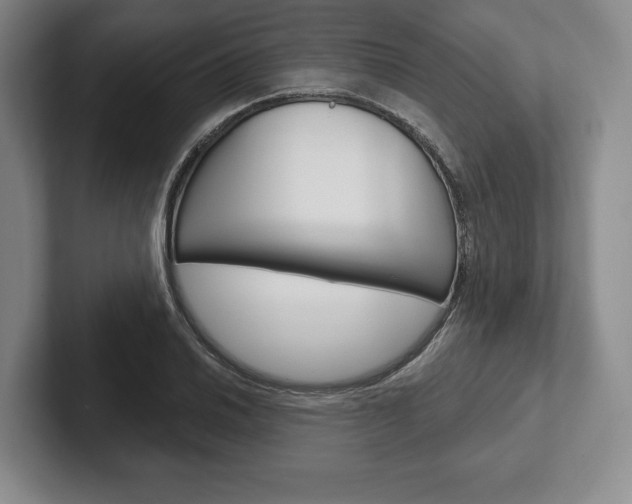 X0000102541030200808081046