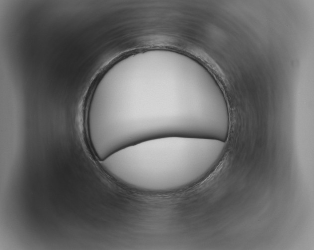 X0000102541031200808081046