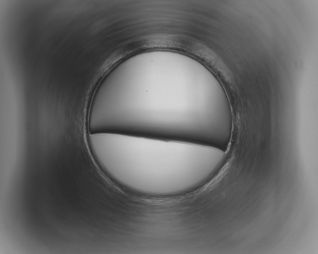 X0000102541033200808081046