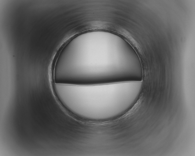 X0000102541034200808081046