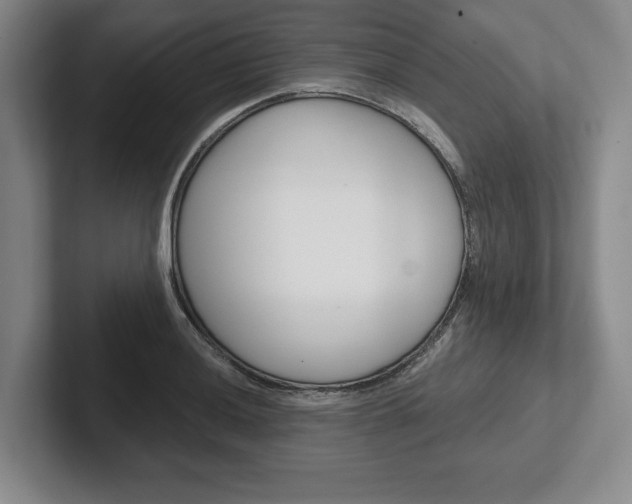 X0000102541036200808081046