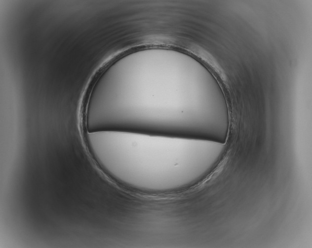 X0000102541037200808081046