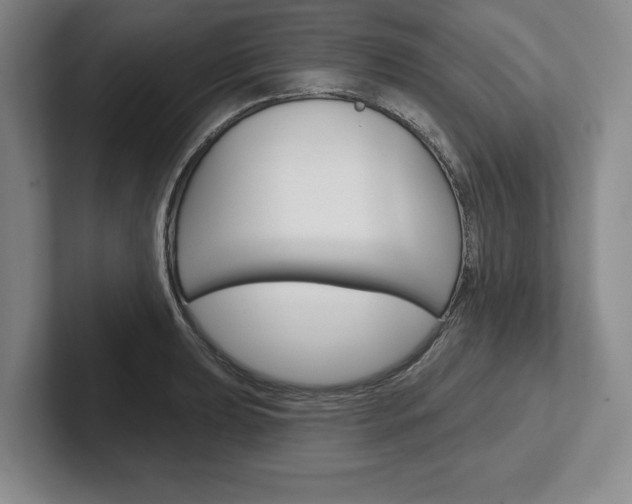 X0000102541039200808081046