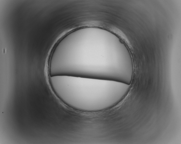 X0000102541040200808081046