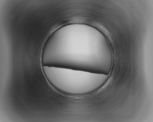 X0000102541041200808081046