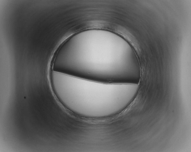 X0000102541042200808081046