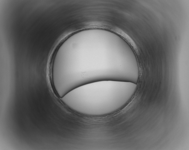X0000102541043200808081046