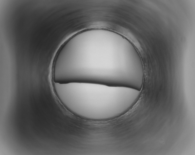 X0000102541044200808081046