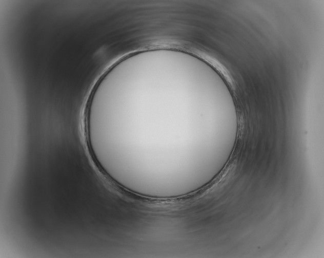 X0000102541047200808081046