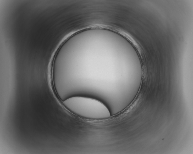 X0000102541048200808081046