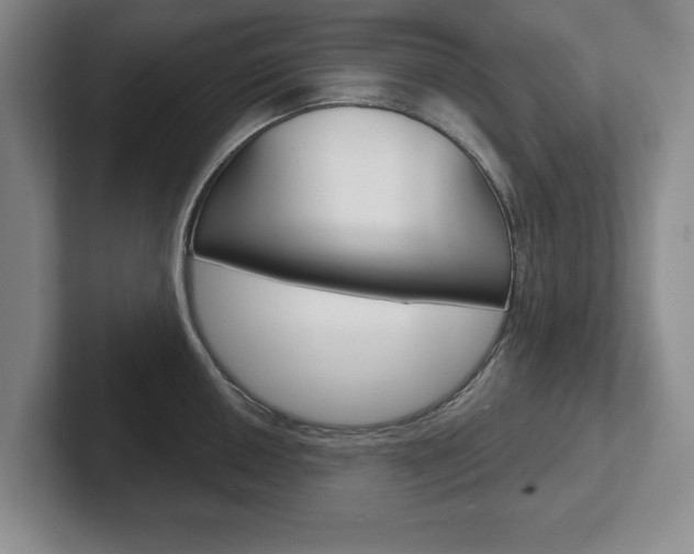 X0000102541050200808081046