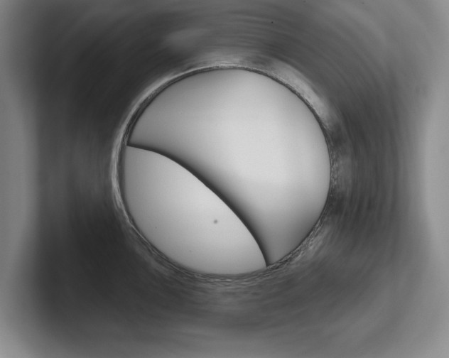 X0000102541051200808081046