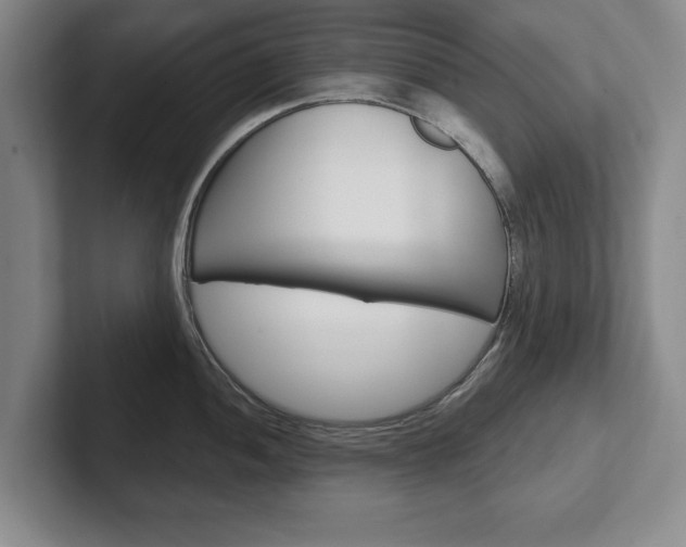 X0000102541052200808081046