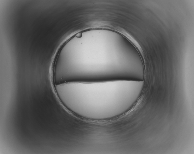 X0000102541053200808081046