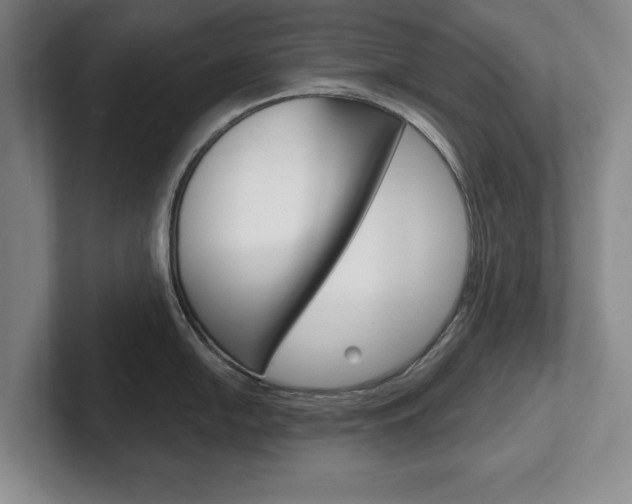 X0000102541054200808081046