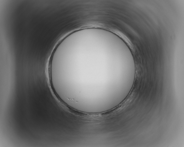 X0000102541055200808081046