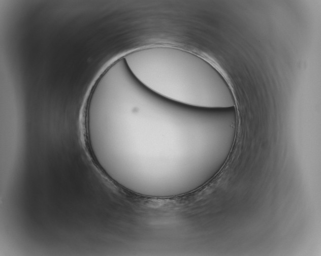 X0000102541056200808081046