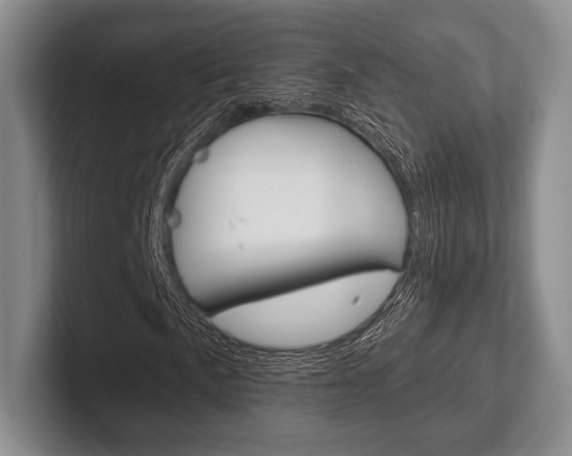 X0000102541057200808081045