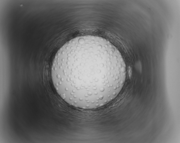 X0000102541059200808081045