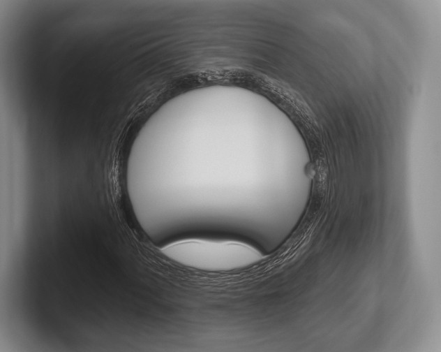 X0000102541060200808081045