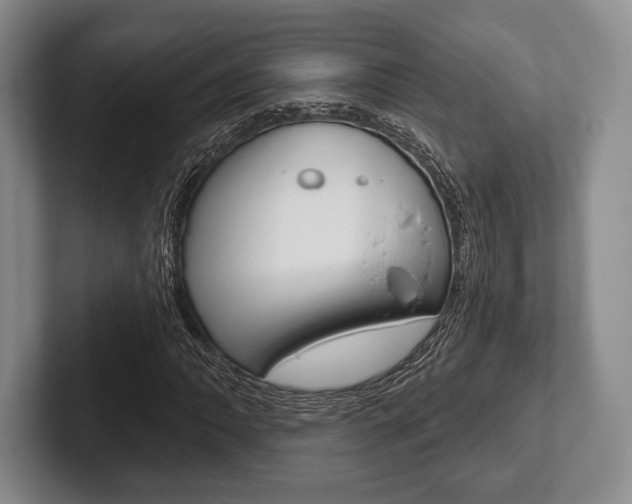 X0000102541062200808081045