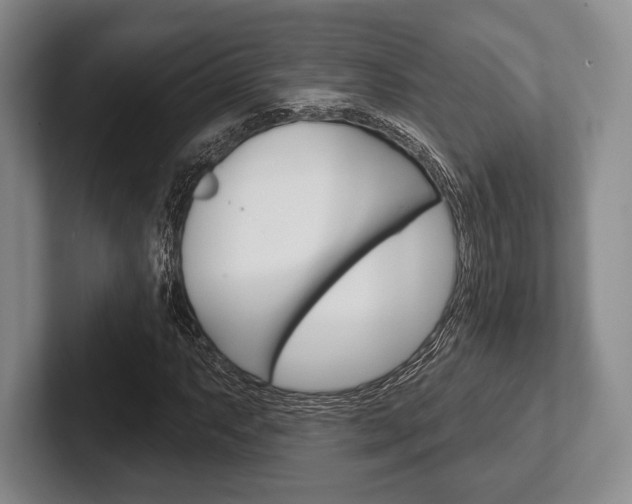 X0000102541063200808081045