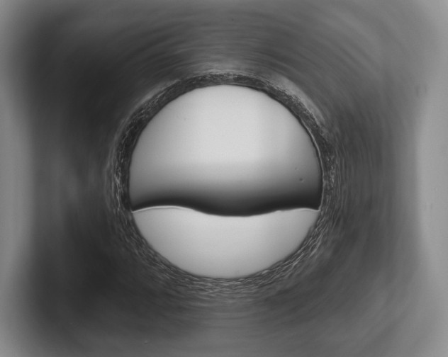 X0000102541064200808081045