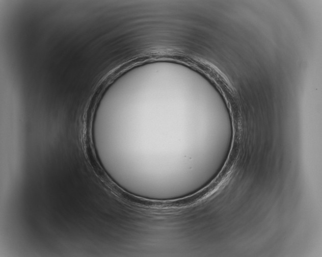 X0000102541065200808081045