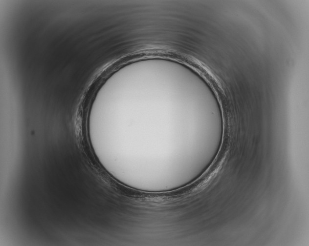 X0000102541066200808081045