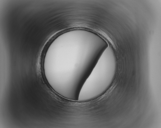 X0000102541068200808081045
